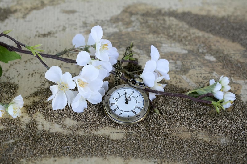 Time Travel Watch